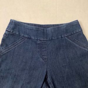 Alia Petite Wide Banded Pull On Jeans 8P Short